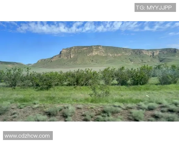 卡杜斯第比利斯与库塔伊西的精彩对决分析与赛前展望