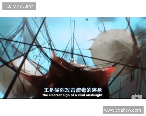 电讯报致斯洛特：当你花了4.46亿镑 别诉苦阵型不强壮